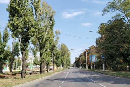 На Черемушках обновлена дорожная разметка на семи улицах с оживленным движением (фото)