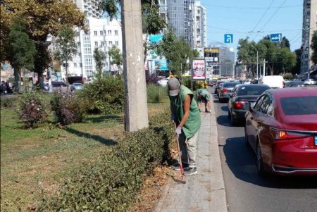 На улицах Одессы озеленители сажают осенние цветы, а в парках убирают опавшие листья (фото)