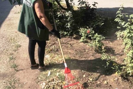 На улицах Одессы озеленители сажают осенние цветы, а в парках убирают опавшие листья (фото)