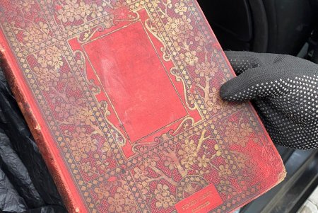 Контрабандой через пункт пропуска «Орловка» пытались вывезти старинные книгу и картину (фото)