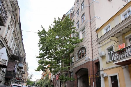 Переулок Нечипоренко - один из тихих уголков Одессы (фоторепортаж)