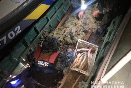В Измаильском районе двое браконьеров наловили краснокнижной рыбы на 750 тысяч гривен