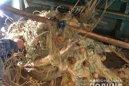 В Измаильском районе двое браконьеров наловили краснокнижной рыбы на 750 тысяч гривен