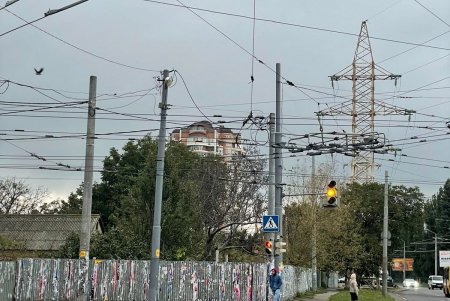 Коммунальщики демонтировали более ста незаконных вывесок и рекламных конструкций