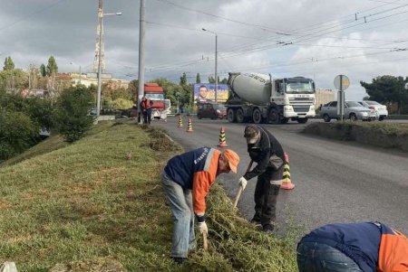 На этой неделе коммунальщики очищали улицы, остановки, ливневую канализацию во всех районах Одессы