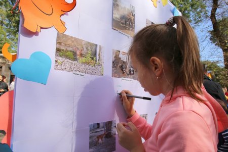 В Одесском зоопарке отметили День рождения слонихи Венди (фоторепортаж)