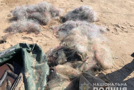 Из озера Алибей браконьеры выловили кефаль на почти два миллиона гривен (фото)