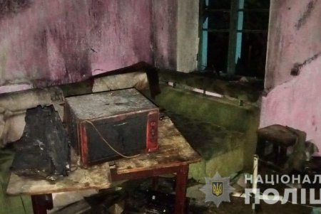 Под Одессой дети ради развлечения подожгли соседский дом