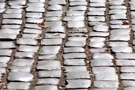 Дворянская: респектабельное прошлое старой улицы (фоторепортаж) 