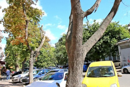 Дворянская: респектабельное прошлое старой улицы (фоторепортаж) 