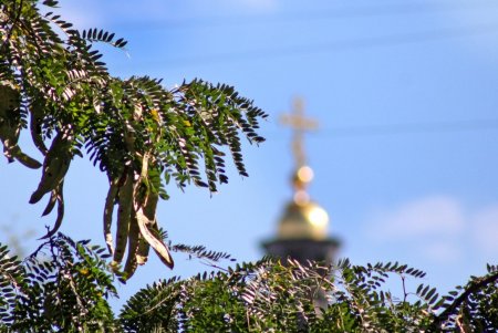 Дворянская: респектабельное прошлое старой улицы (фоторепортаж) 
