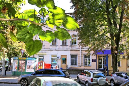 Дворянская: респектабельное прошлое старой улицы (фоторепортаж) 