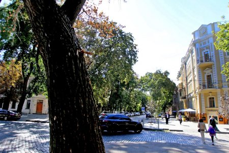 Дворянская: респектабельное прошлое старой улицы (фоторепортаж) 