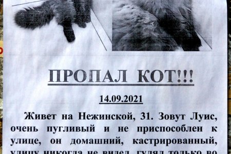 Дворянская: респектабельное прошлое старой улицы (фоторепортаж) 