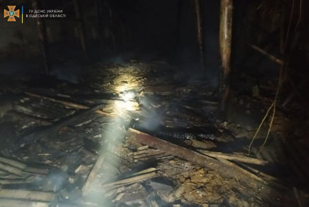 Потушив пожар в хлеву на территории Арцизской ОТГ, спасатели обнаружили труп (фото)