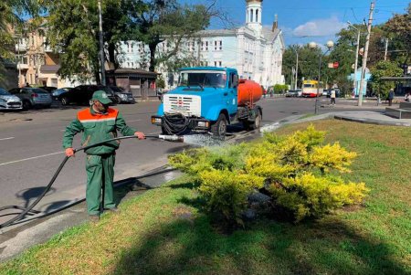 Коммунальщики осенью убирают опавшую листву в зеленых зонах и готовятся к посадке деревьев (фото)