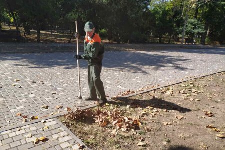 Коммунальщики осенью убирают опавшую листву в зеленых зонах и готовятся к посадке деревьев (фото)