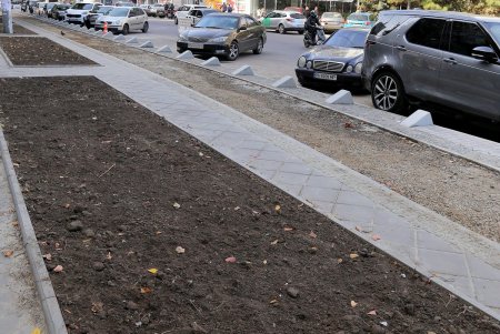 В ходе капремонта улицы Черняховского оборудовали велодорожку (фоторепортаж)