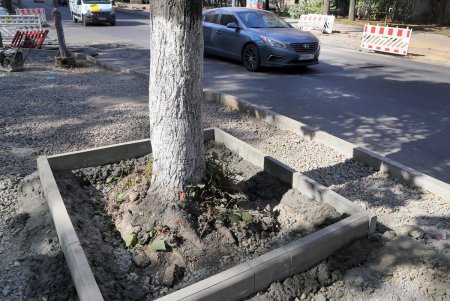 В ходе капремонта улицы Черняховского оборудовали велодорожку (фоторепортаж)