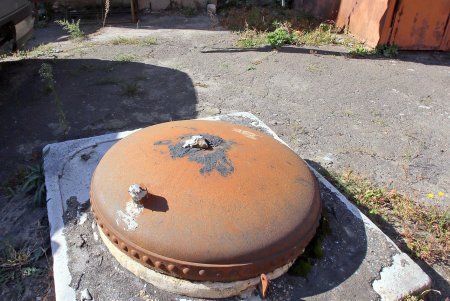 Прогулка по уютной улице Елисаветинской (фоторепортаж)