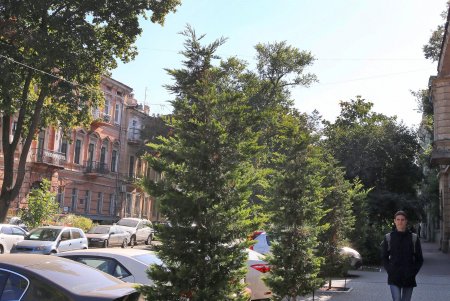 Прогулка по уютной улице Елисаветинской (фоторепортаж)