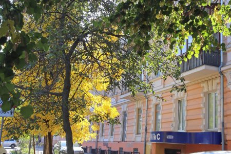 Прогулка по уютной улице Елисаветинской (фоторепортаж)