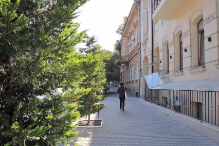 Прогулка по уютной улице Елисаветинской (фоторепортаж)