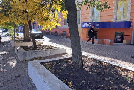 Прогулка по уютной улице Елисаветинской (фоторепортаж)