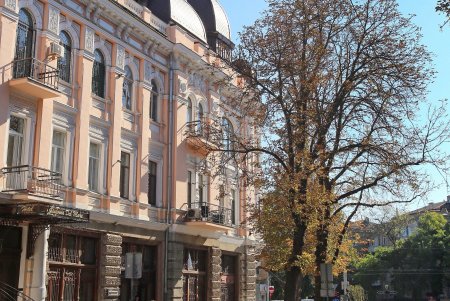 Прогулка по уютной улице Елисаветинской (фоторепортаж)