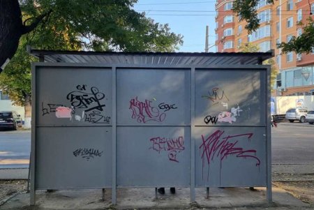 В Приморском районе вандалы расписали две остановки и мусороприемник (фото)