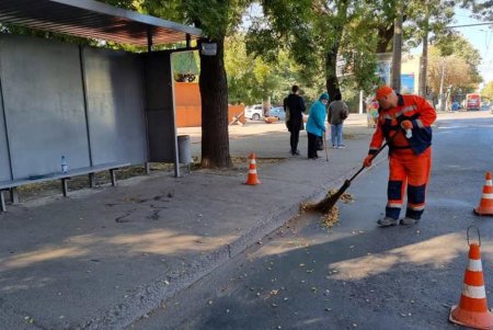В Приморском районе вандалы расписали две остановки и мусороприемник (фото)