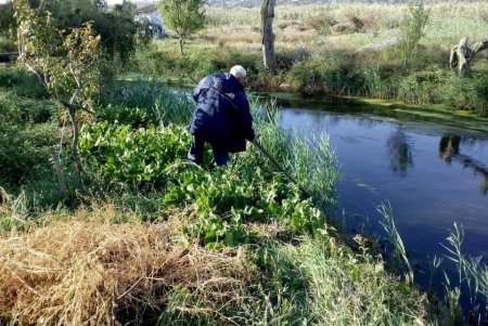 Коммунальщики привели в порядок канал дренажной насосной станции возле Хаджибейской дамбы (фото)