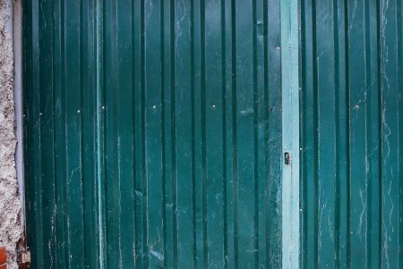 В Одесском зоопарке весело отпраздновали Международный день защиты животных (фоторепортаж)