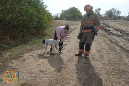 Под Одессой спасатели вызволили пса из пятиметровой ямы, откуда он не смог выбраться