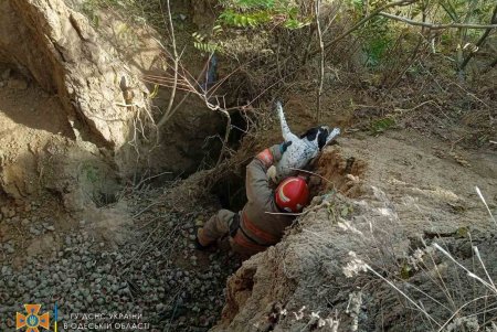 Под Одессой спасатели вызволили пса из пятиметровой ямы, откуда он не смог выбраться