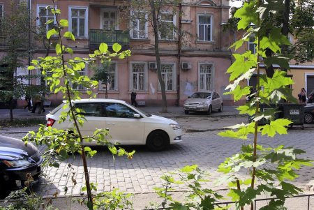 Осенняя улица Коблевская (фоторепортаж)
