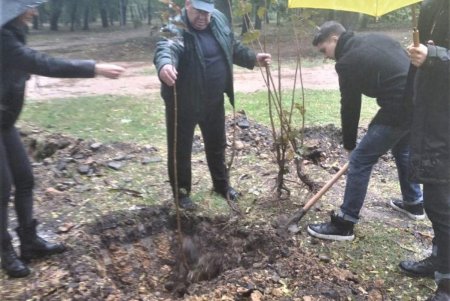 Горожане и озеленители высадили в Преображенском парке 50 деревьев ясеня и клена (фото)