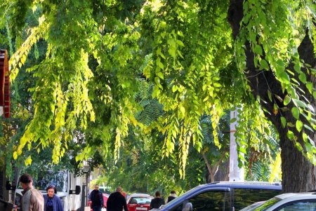 Улица Конная: украинский театр, рынок и много старинных домов (фоторепортаж) 