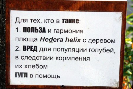 Улица Конная: украинский театр, рынок и много старинных домов (фоторепортаж) 