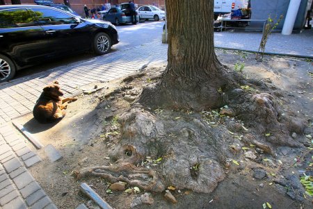 Улица Конная: украинский театр, рынок и много старинных домов (фоторепортаж) 