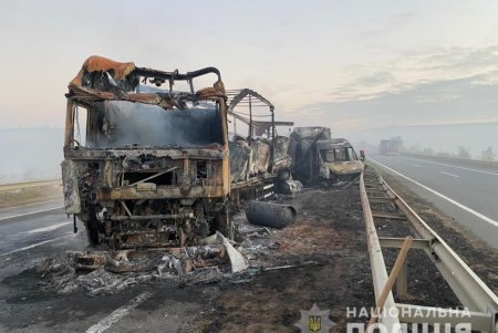 Правоохранители задержали водителя, причастного к массовой аварии с жертвами на трассе Киев – Одесса (фото, видео)