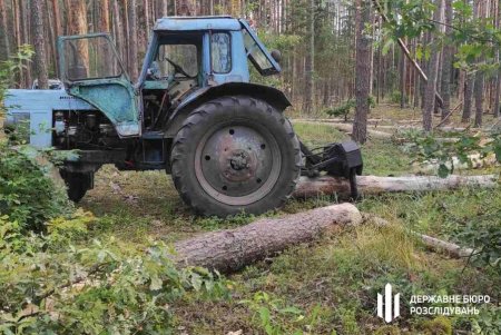 Лесничий в Одесской области организовал вырубку деревьев более чем на миллион гривен (фото)