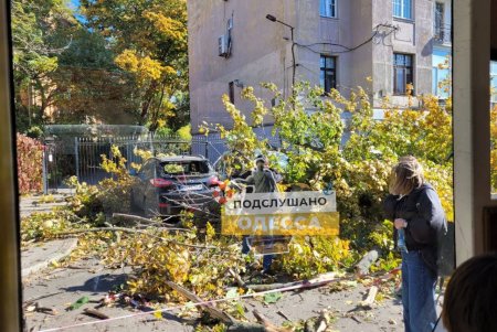 В Одессе бушует штормовой ветер: падают деревья и срываются вывески (фото, обновлено)