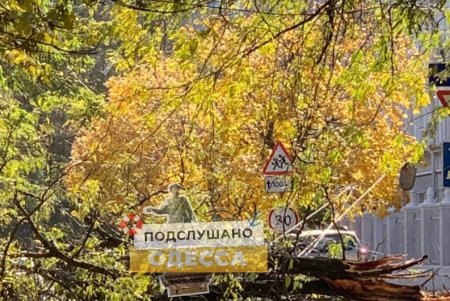 В Одессе бушует штормовой ветер: падают деревья и срываются вывески (фото, обновлено)