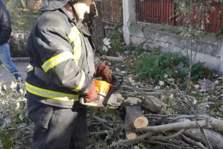 Одесские спасатели распилили и убрали рухнувшие от непогоды деревья на Одария и проспекте Шевченко (фото) 