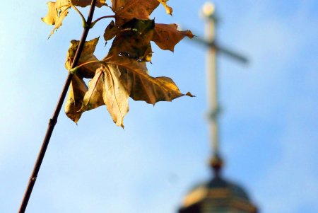 В завершение работ по благоустройству Алексеевского сквера на Молдаванке открылась детская площадка (фоторепортаж)