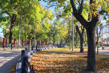 В завершение работ по благоустройству Алексеевского сквера на Молдаванке открылась детская площадка (фоторепортаж)