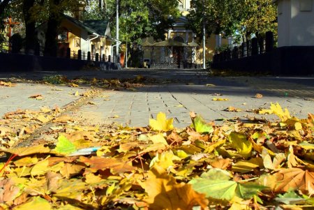 В завершение работ по благоустройству Алексеевского сквера на Молдаванке открылась детская площадка (фоторепортаж)