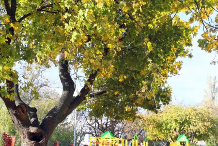 В завершение работ по благоустройству Алексеевского сквера на Молдаванке открылась детская площадка (фоторепортаж)