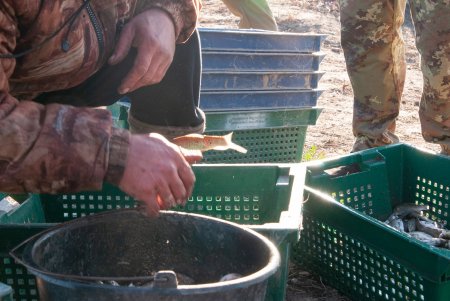 Более пяти тонн малька белого амура, толстолобика и карпа выпустили в озеро Китай (фото)